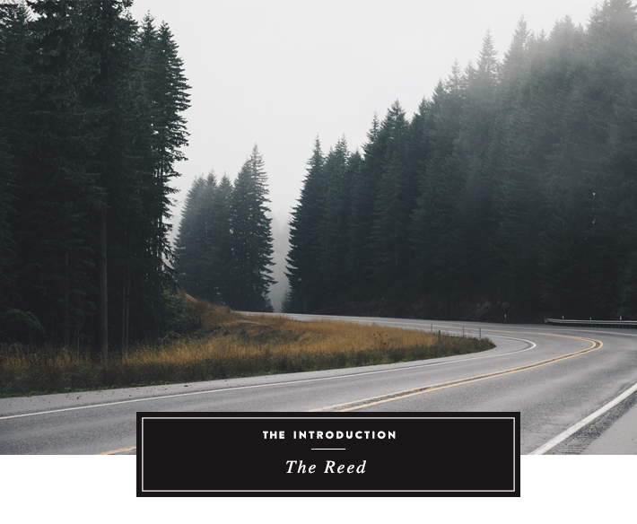 The Introduction: The Reed