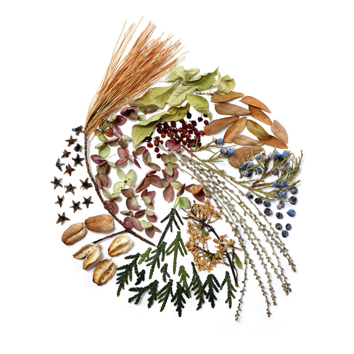 still-blog-mary-jo-hoffman-podcast-circle-of-dried-bits
