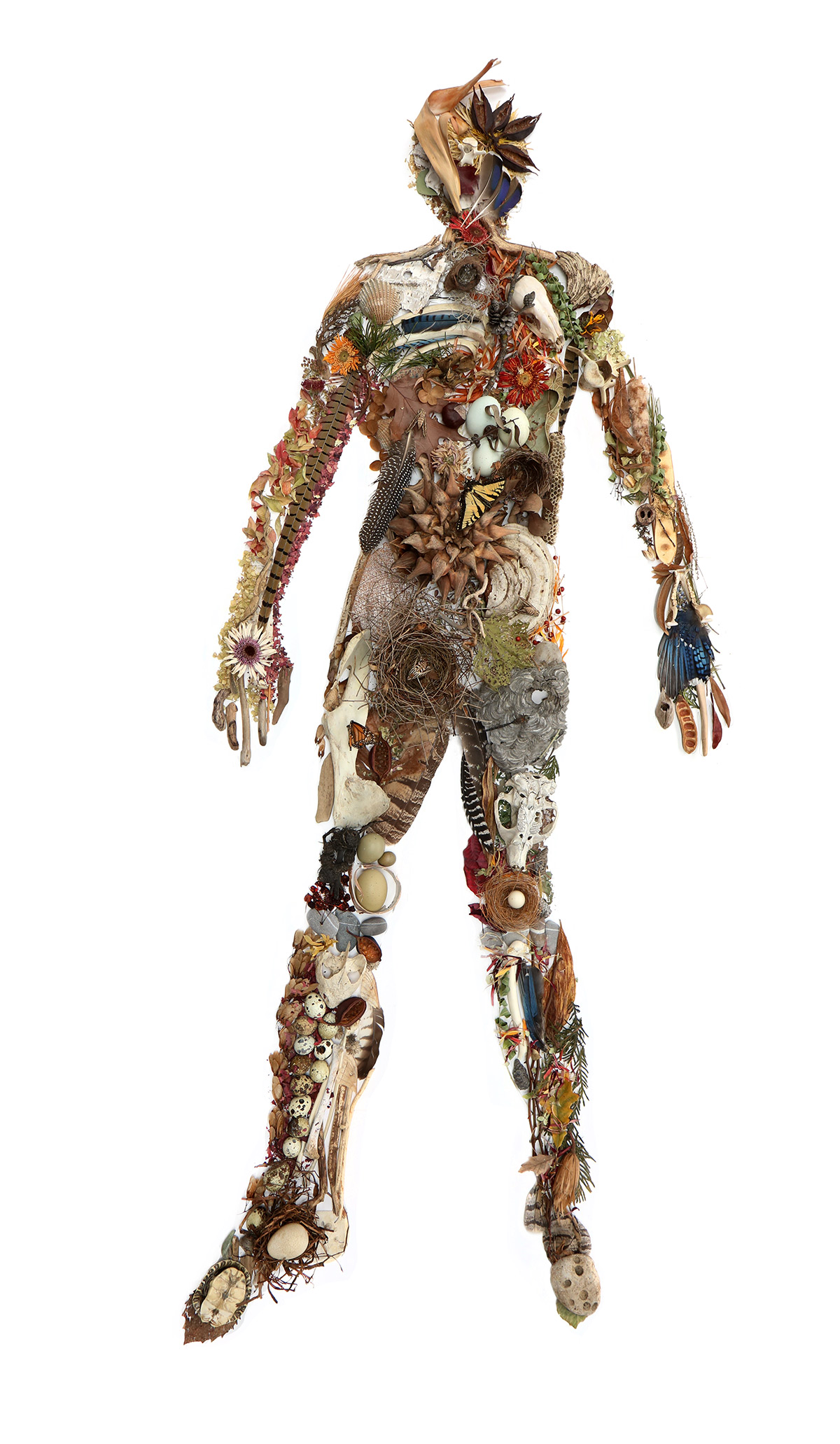 still-blog-mary-jo-hoffman-podcast-nature-boy-joe